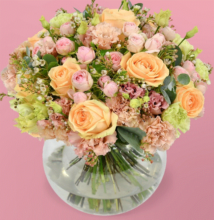 Flowers & Plants Co Promo